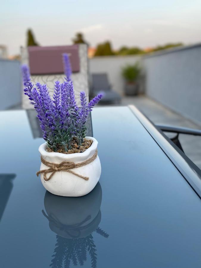 Villa Maleo Медулин Екстер'єр фото